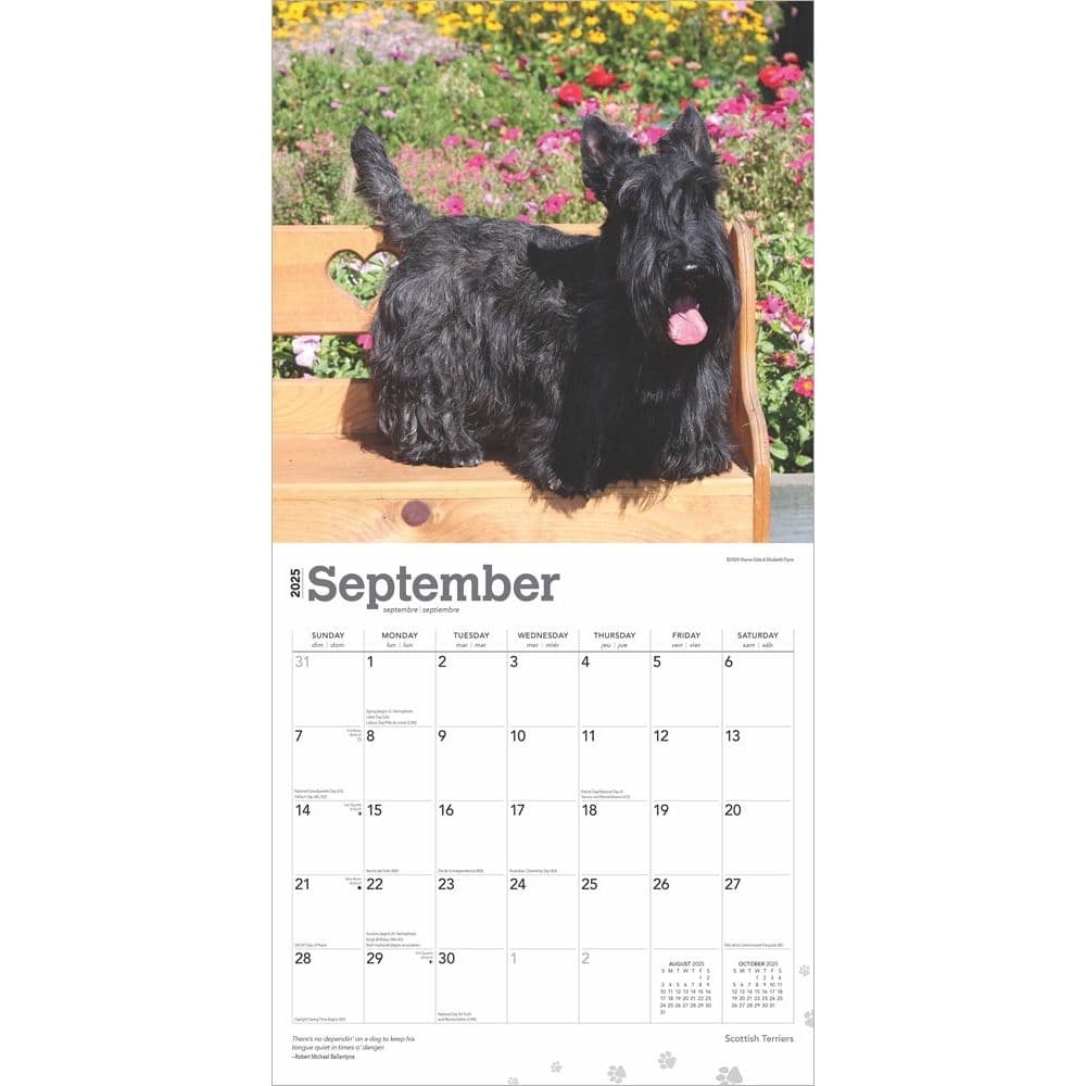 Scottish Terriers 2025 Wall Calendar Third Alternate Images