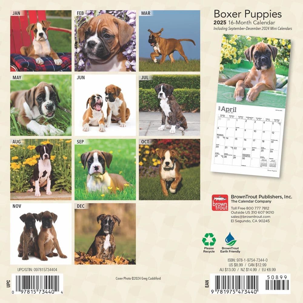 Boxer Puppies 2025 Mini Wall Calendar First Alternate Image width=&quot;1000&quot; height=&quot;1000&quot;