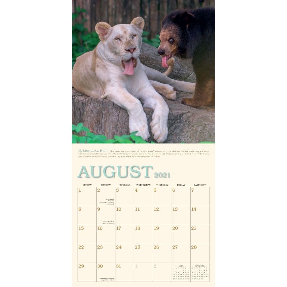 Unlikely Friendships Wall Calendar