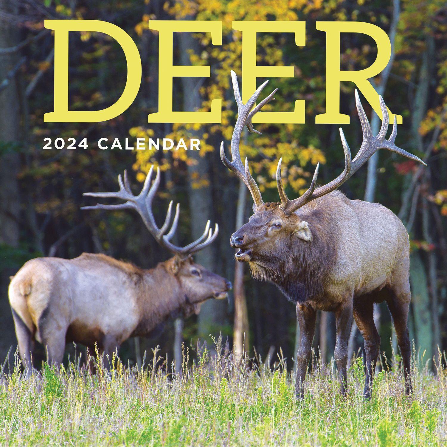 Deer 2025 Wall Calendar