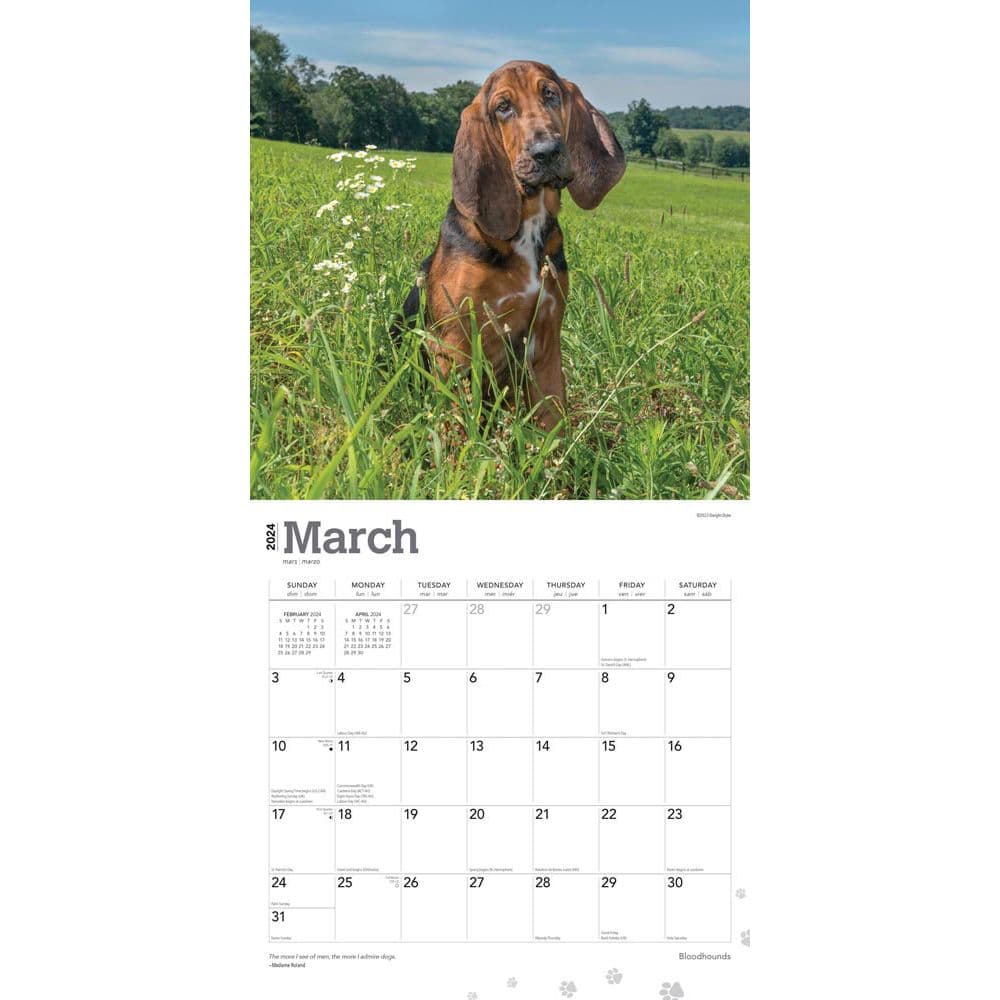 Bloodhounds 2024 Wall Calendar