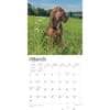 image Bloodhounds 2024 Wall Calendar Second Alternate Image width=&quot;1000&quot; height=&quot;1000&quot;