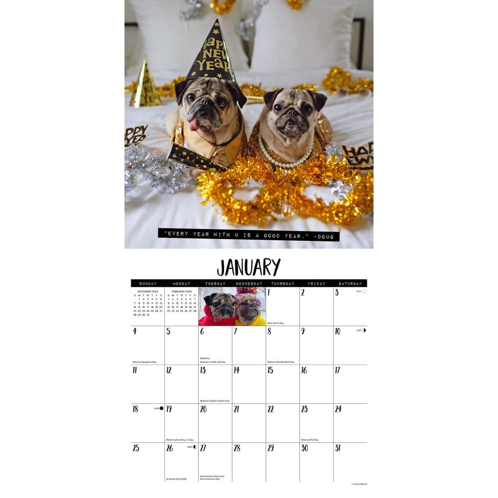 Doug the Pug 2026 Wall Calendar Second Alternate Image