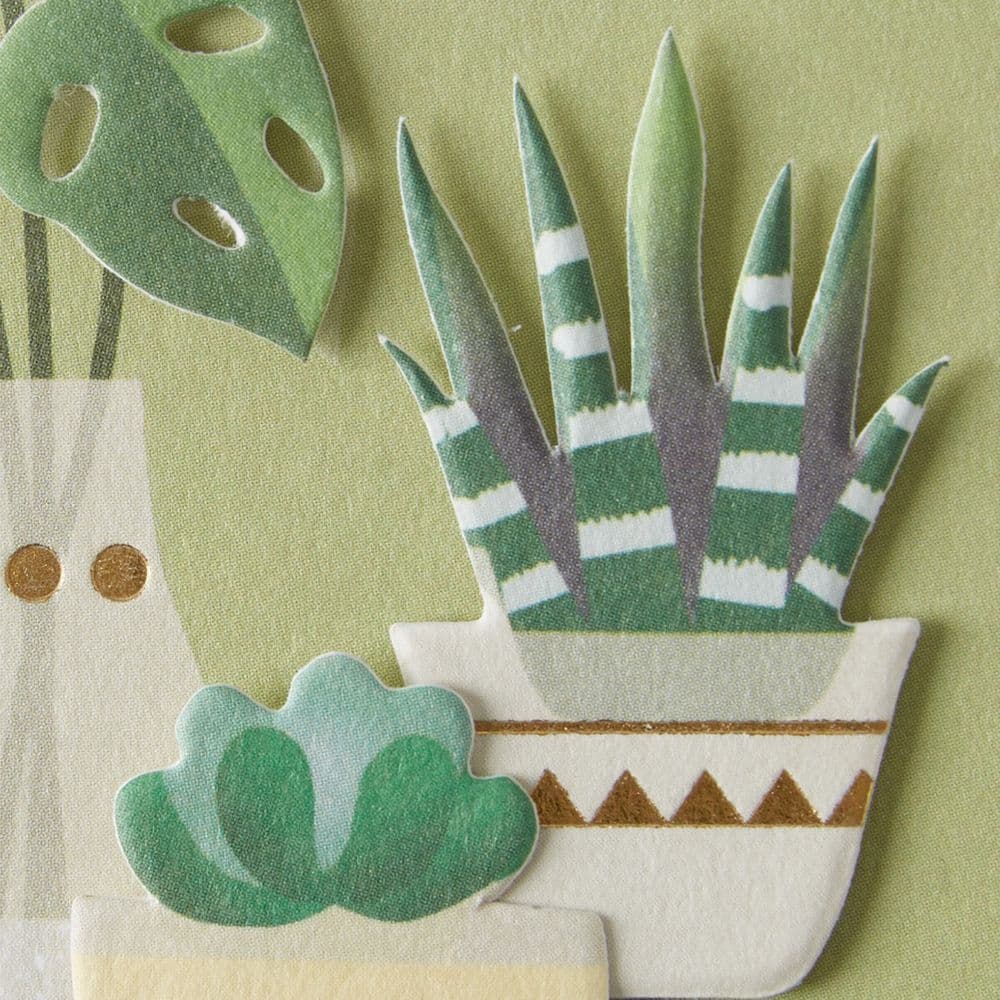 House Plants Enclosure Card Fourth Alternate Image width=&quot;1000&quot; height=&quot;1000&quot;