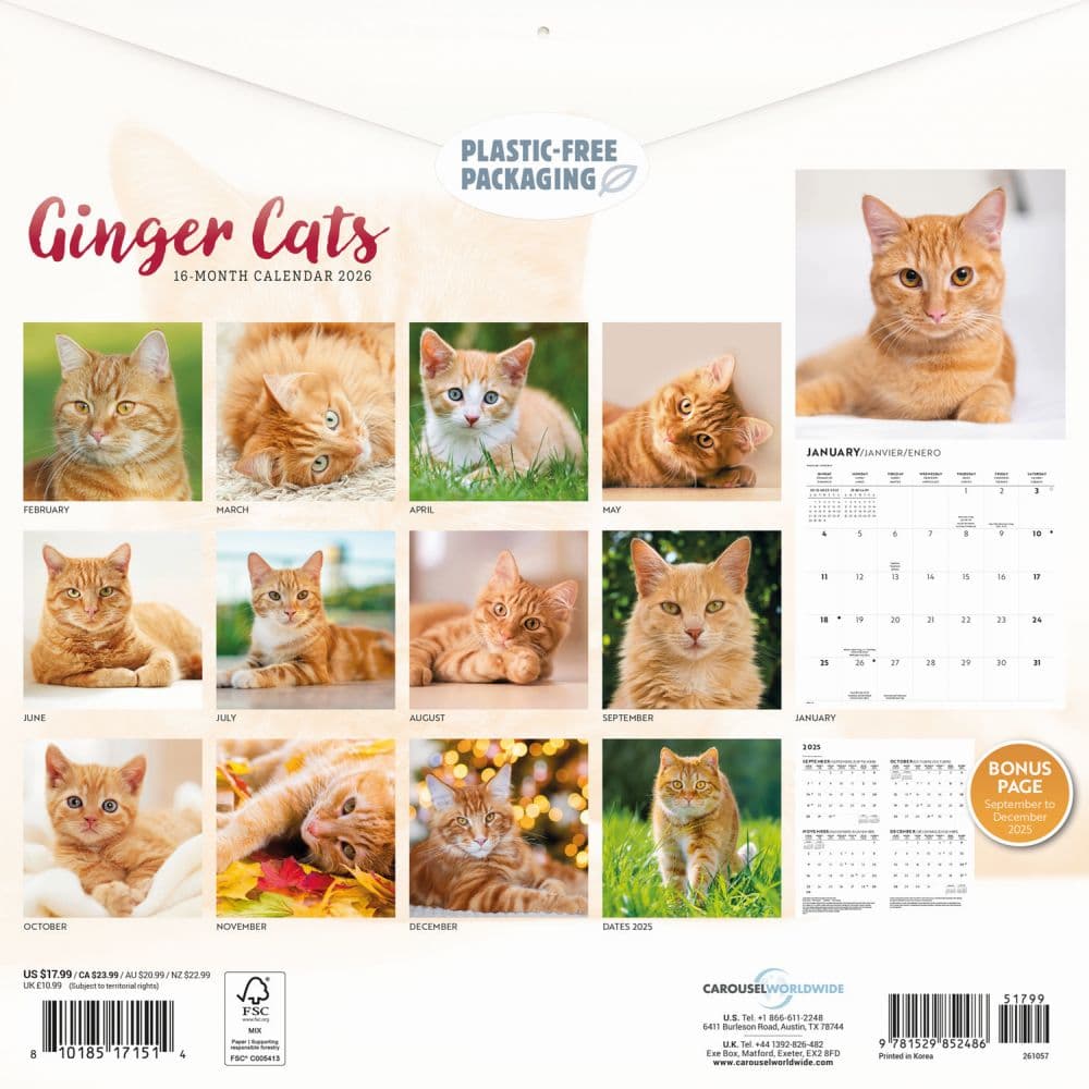 Ginger Cats 2026 Wall Calendar First Alternate Image