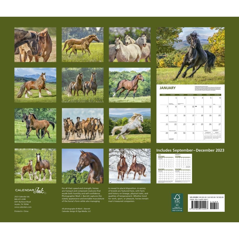 Horses Deluxe 2024 Wall Calendar First Alternate Image width=&quot;1000&quot; height=&quot;1000&quot;