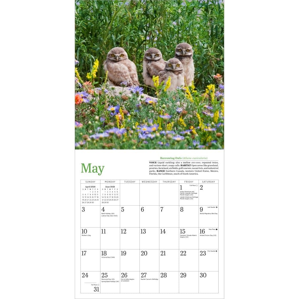 Audubon Little Owls 2026 Mini Wall Calendar Second Alternate Image
