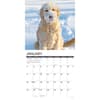 image Just Goldendoodles 2026 Wall Calendar