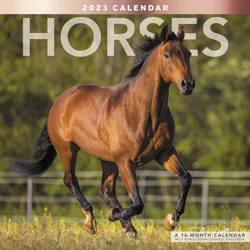 ACCO Brands Horses 2023 Wall Calendar