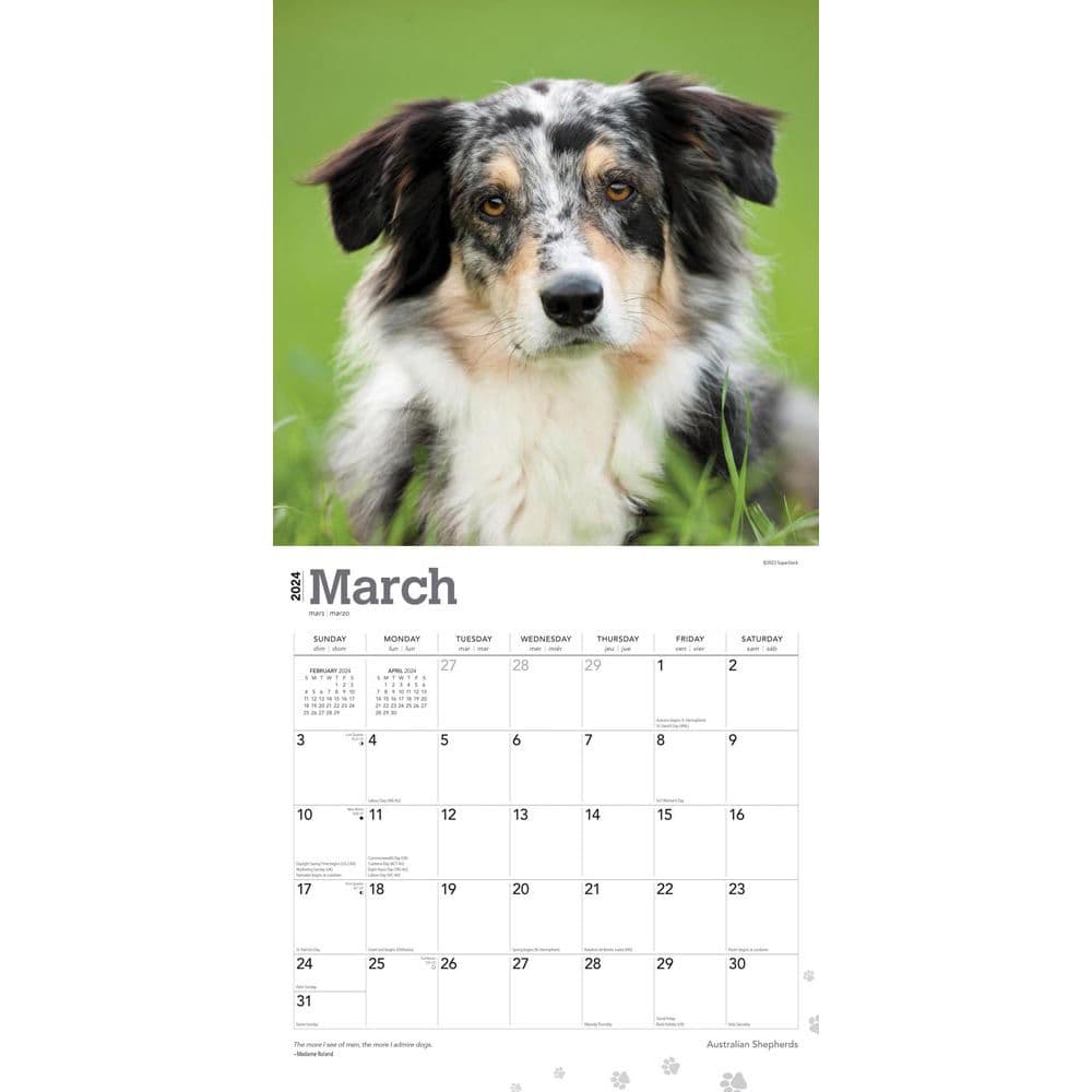 Australian Shepherds 2024 Wall Calendar
