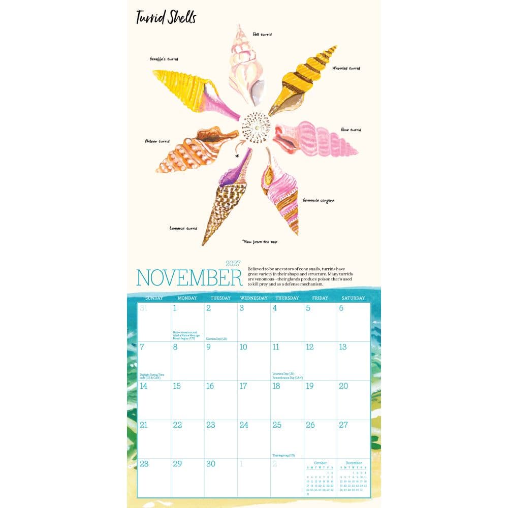 Searching for Seashells 2027 Mini Wall Calendar Fourth Alternate Image