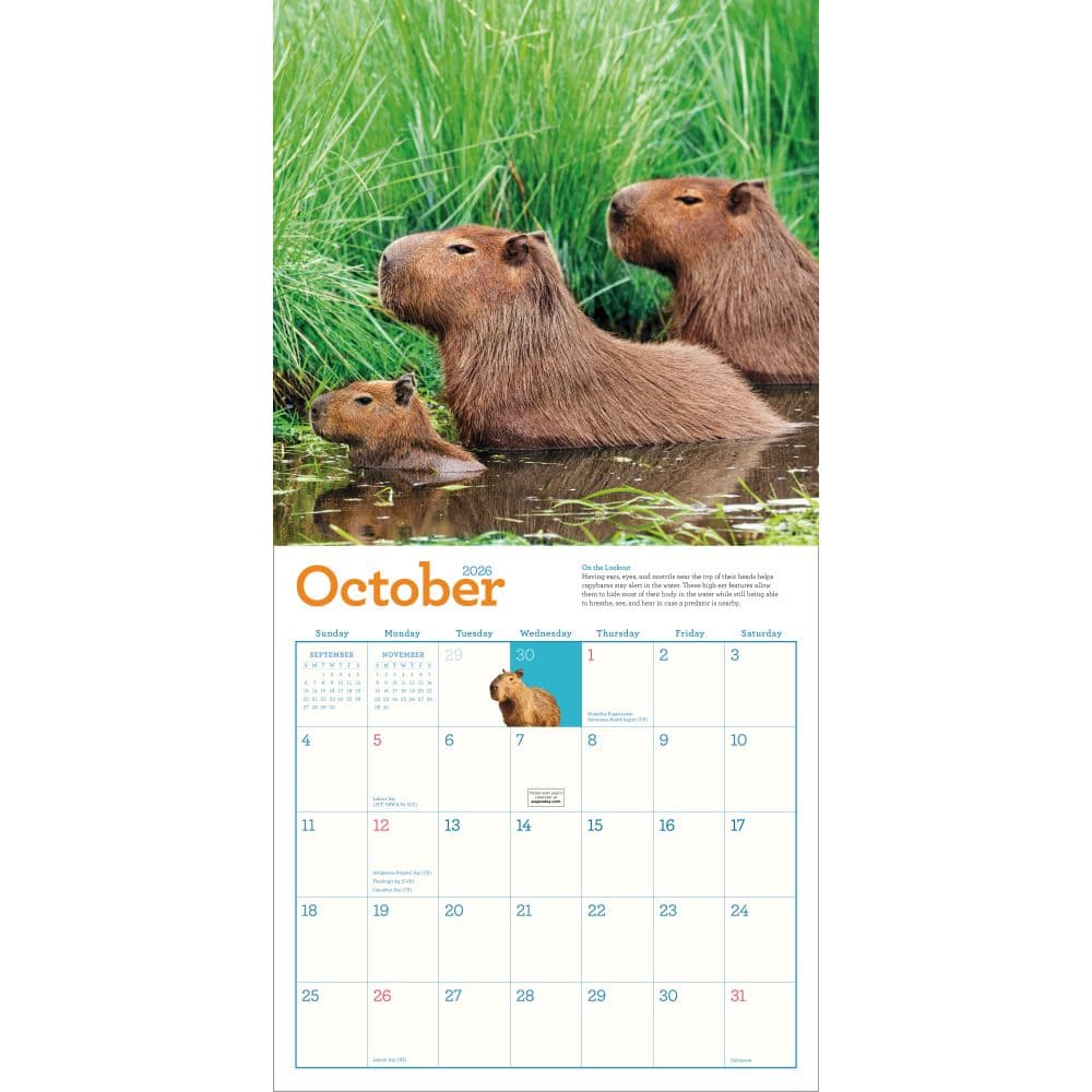 Capybara 2026 Wall Calendar Fourth Alternate Image