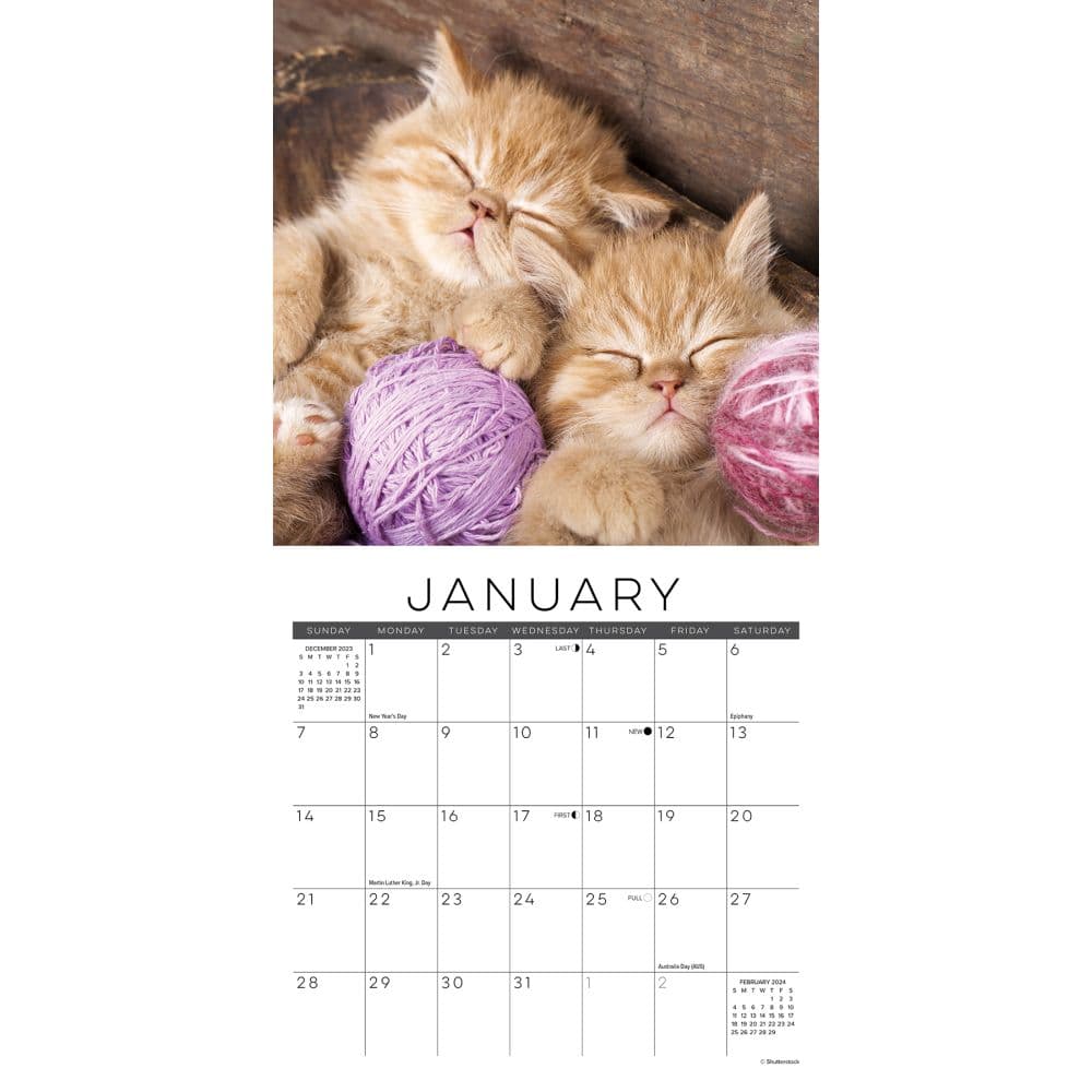 Naptime Cats 2024 Mini Wall Calendar - Calendars.com
