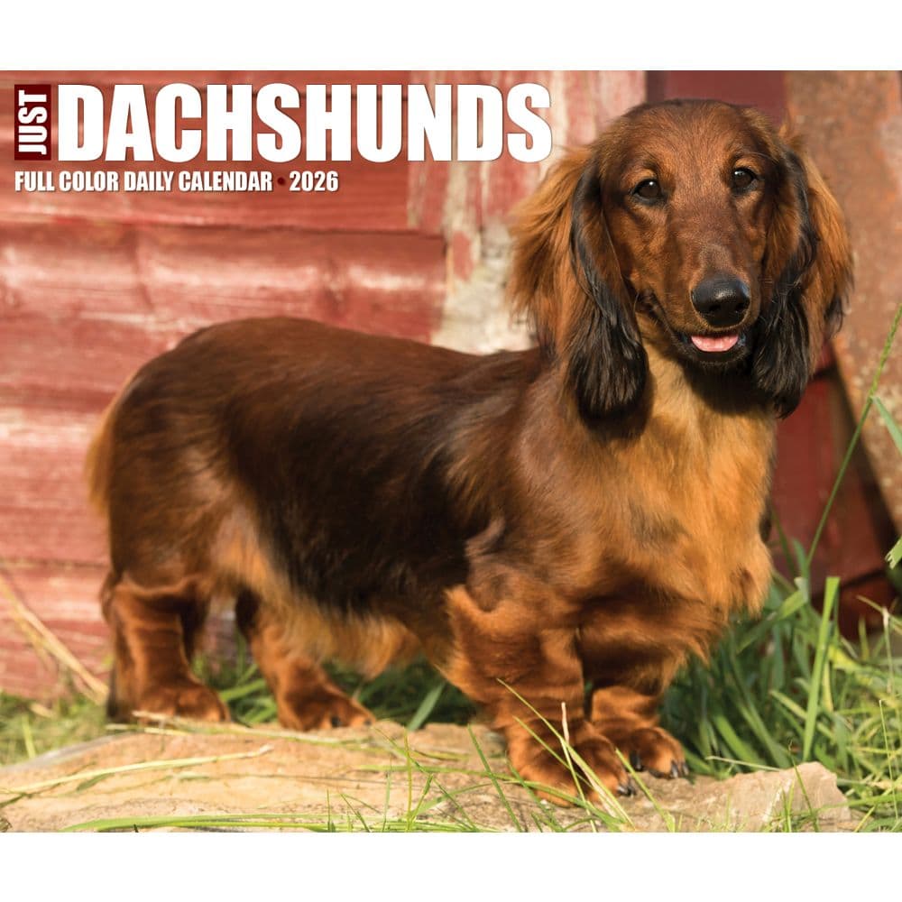 Just Dachshunds 2026 Desk Calendar Fourth Alternate Image