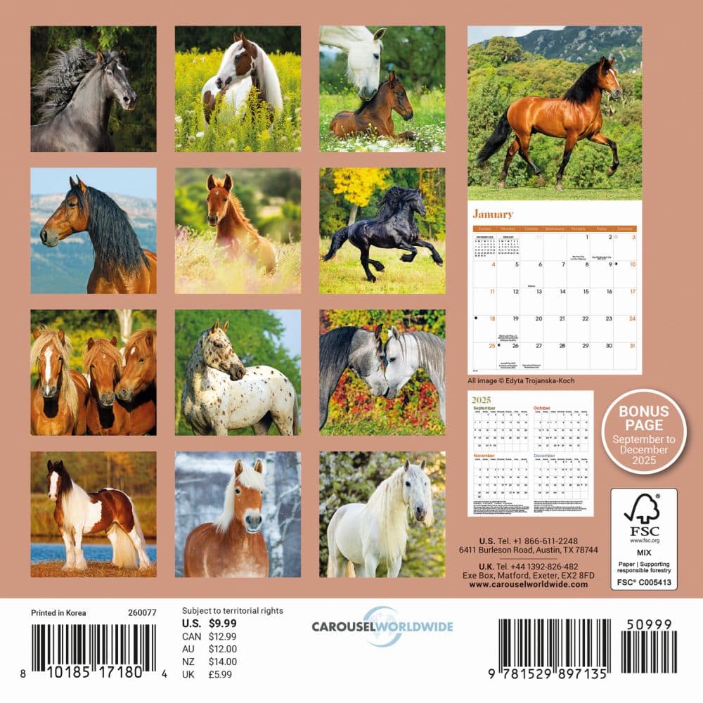 Horses 2026 Mini Wall Calendar First Alternate Image