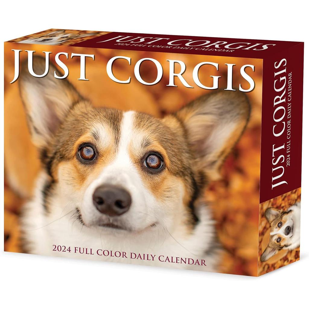 Just Corgis 2024 Desk Calendar front of Box