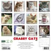 image Crabby Cats 2027 Wall Calendar First Alternate Image