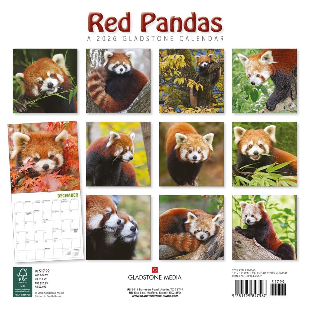 Red Pandas 2026 Wall Calendar First Alternate Image