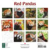 image Red Pandas 2026 Wall Calendar First Alternate Image