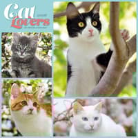 image Cat Lovers 2026 Wall Calendar Main Image