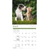 image Kittens and Puppies 2025 Mini Wall Calendar Alt2