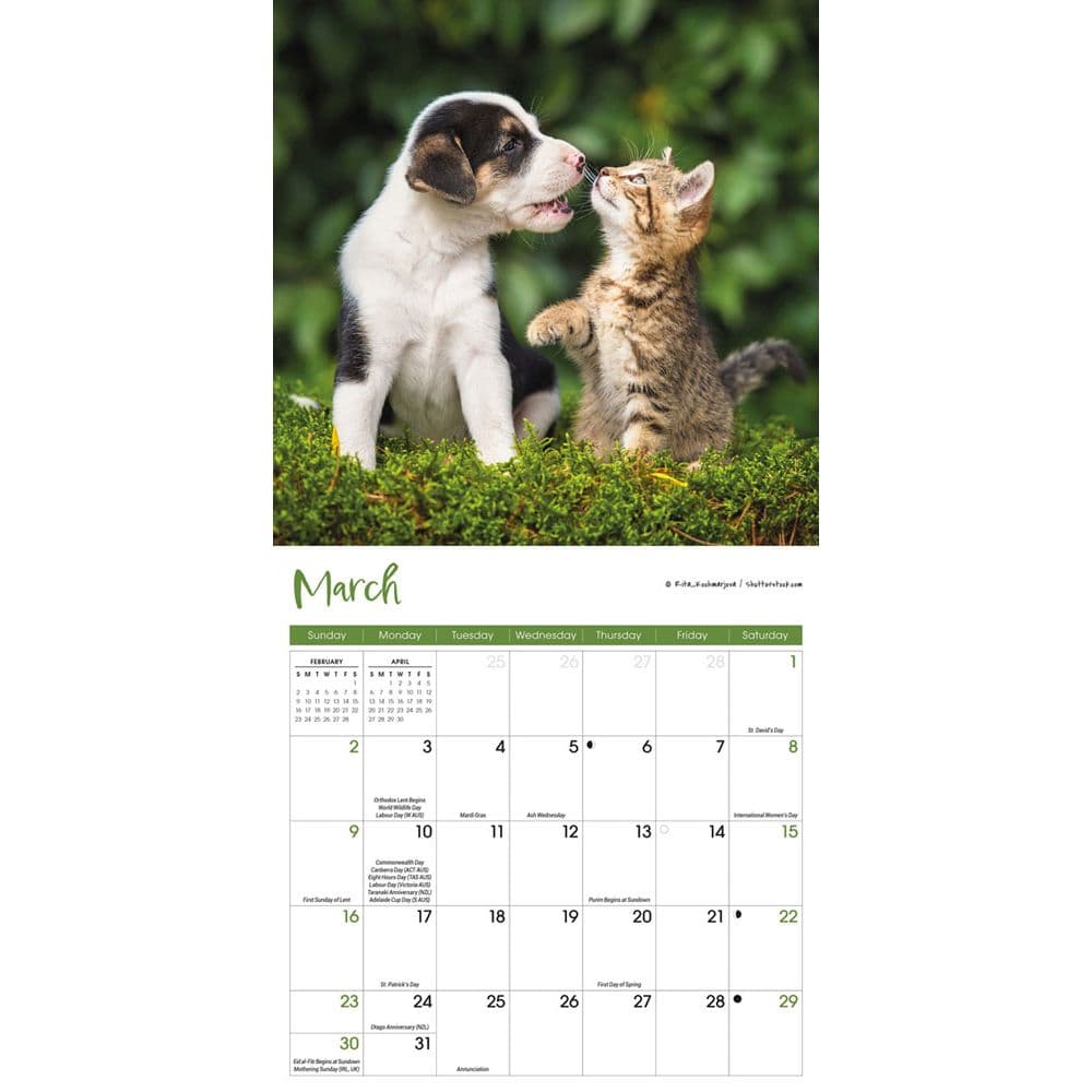 Kittens and Puppies 2025 Mini Wall Calendar Alt2