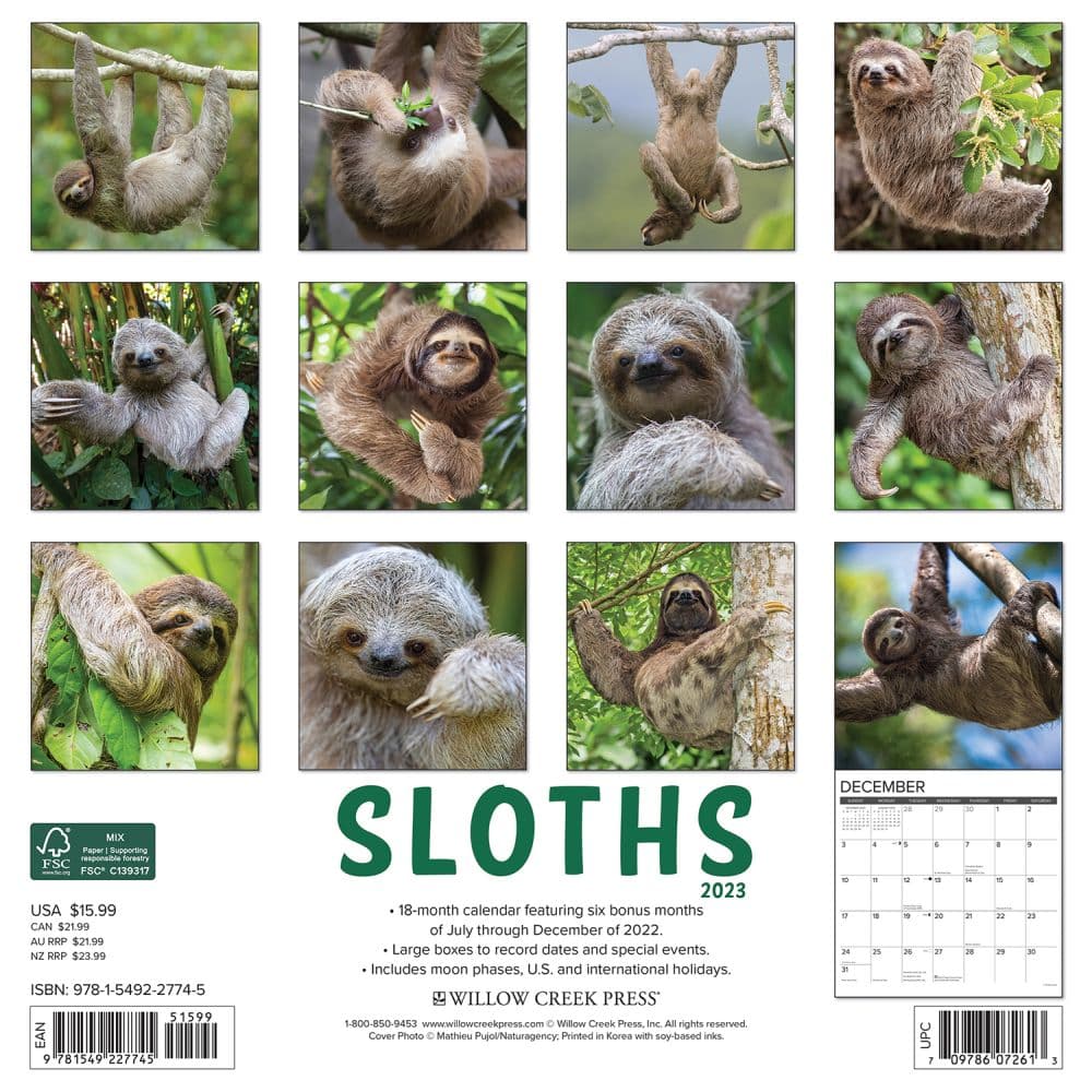 Sloths 2023 Calendar - Calendars.com