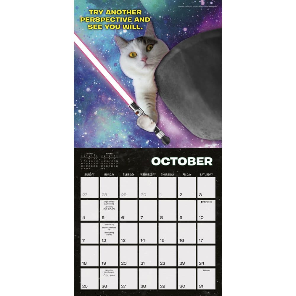 Cat Wars 2026 Mini Wall Calendar 2026 Wall Calendar, 12'' X 12'', 12-Month Calendar with Stapled Binding