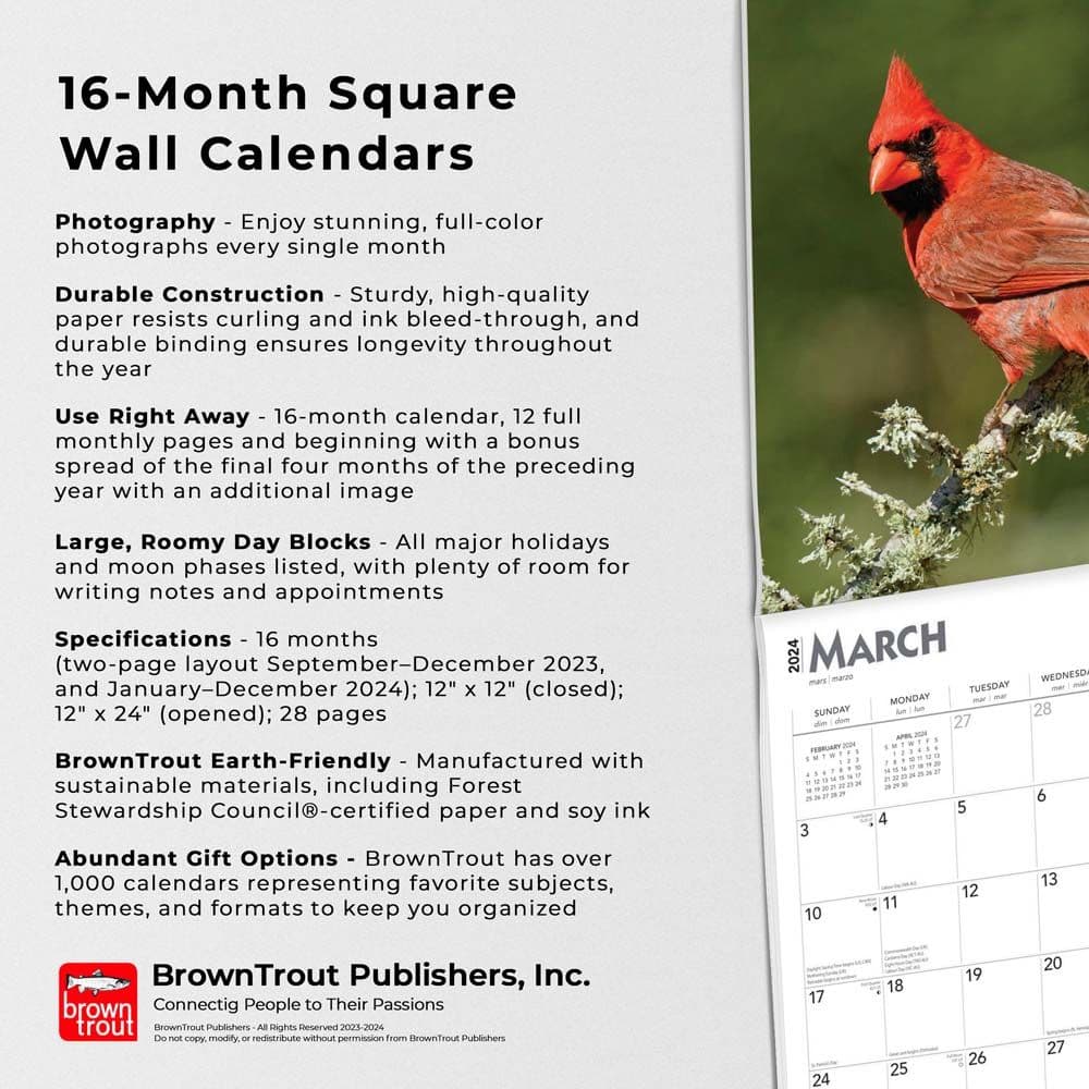 Cardinals 2024 Wall Calendar Fourth Alternate Image width=&quot;1000&quot; height=&quot;1000&quot;