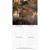 image White Tailed Deer 2026 Wall Calendar_ALT2