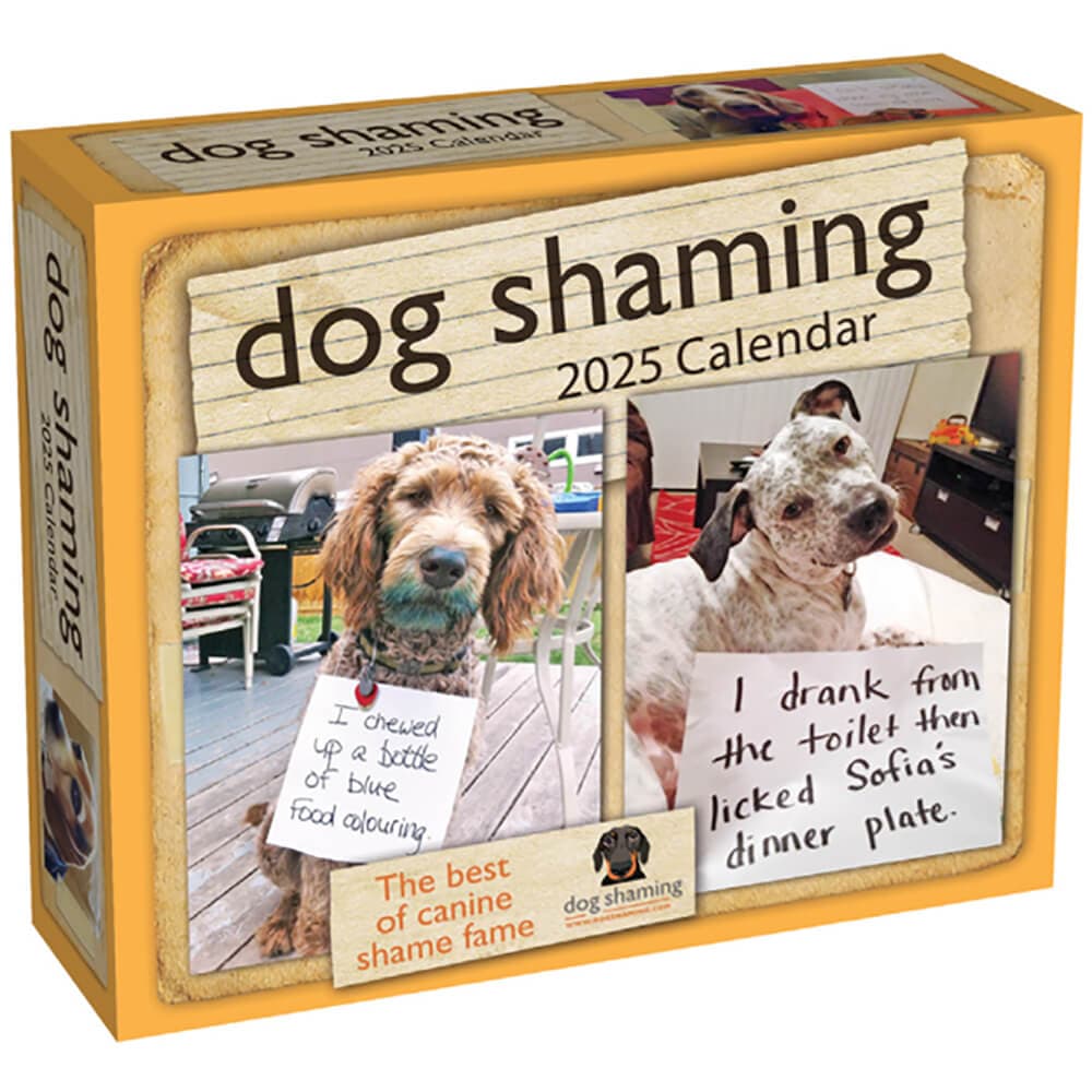 Dog Shaming 2025 Desk Calendar