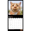 image Cat Selfies 2024 Wall Calendar Second Alternate Image width=&quot;1000&quot; height=&quot;1000&quot;