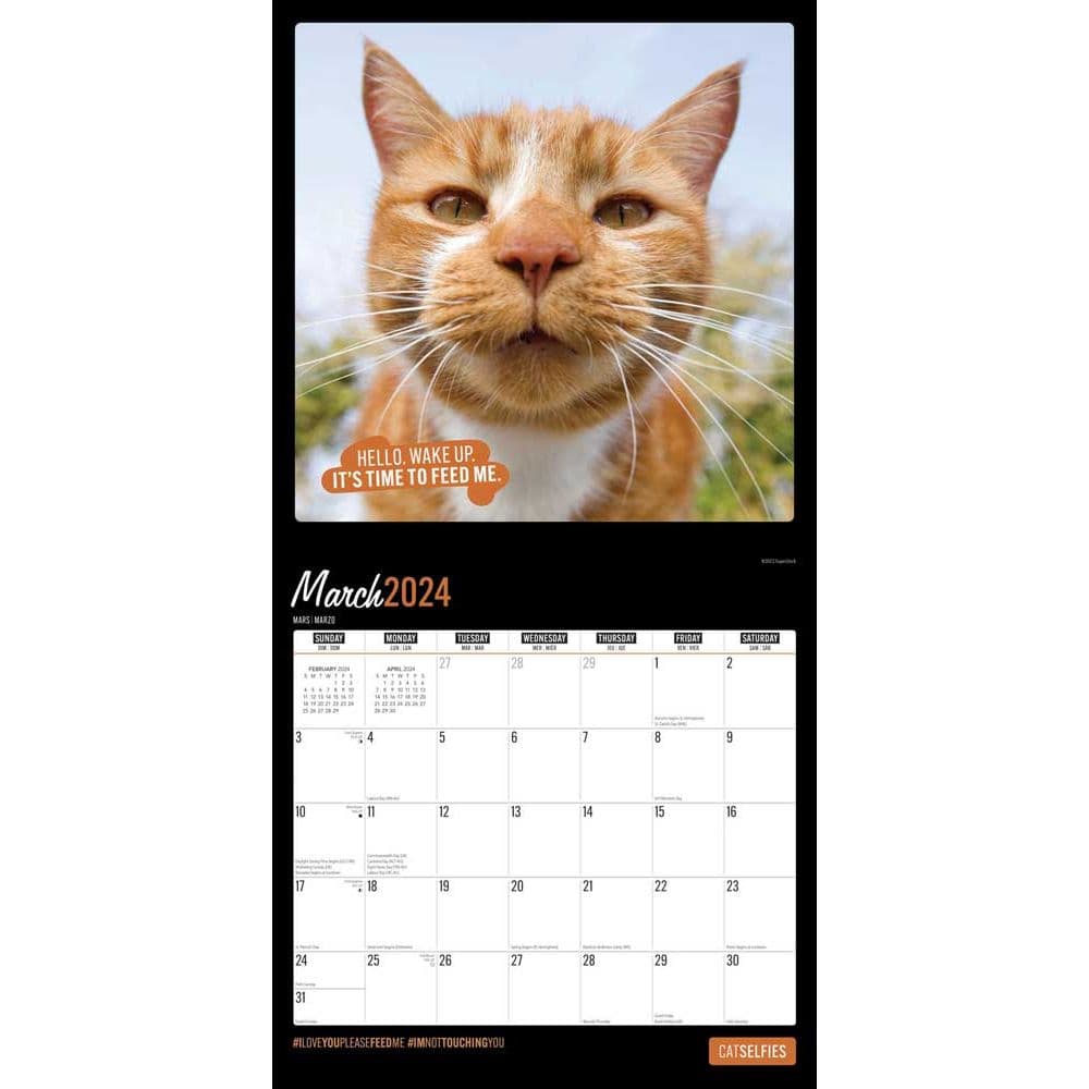 Cat Selfies 2024 Wall Calendar Second Alternate Image width=&quot;1000&quot; height=&quot;1000&quot;