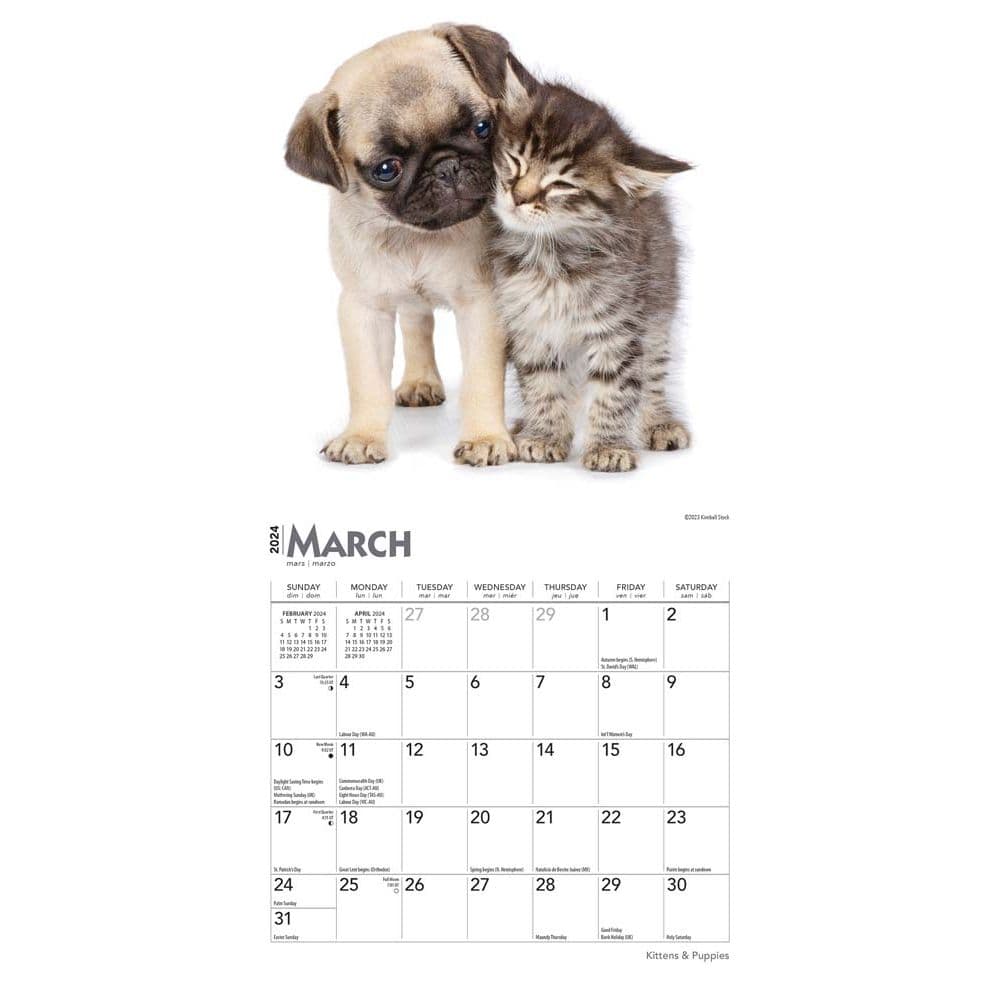 Kittens &amp; Puppies 2024 Mini Wall Calendar Second Alternate Image width=&quot;1000&quot; height=&quot;1000&quot;