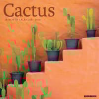 image Cactus 2026 Wall Calendar  Main Image