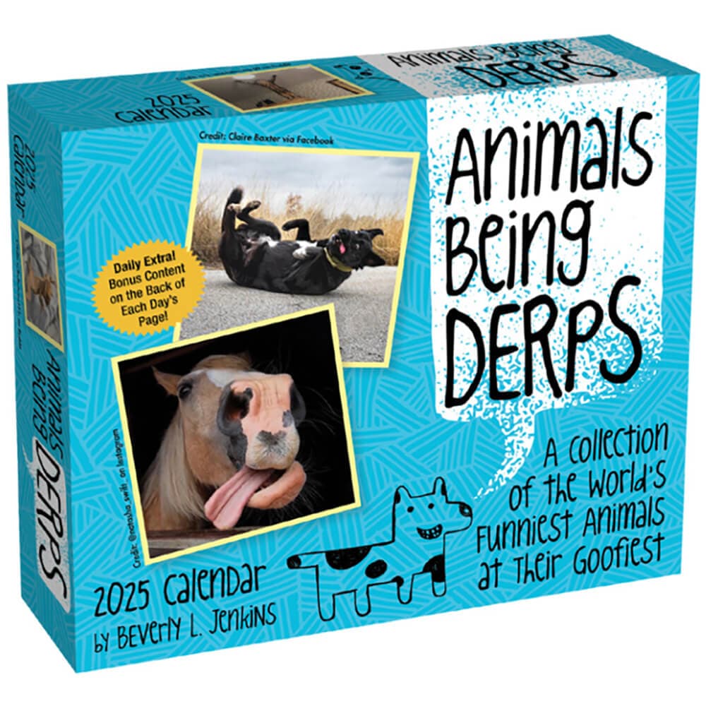 Animals Being Derps 2025 Desk Calendar Main Product Image width=&quot;1000&quot; height=&quot;1000&quot;