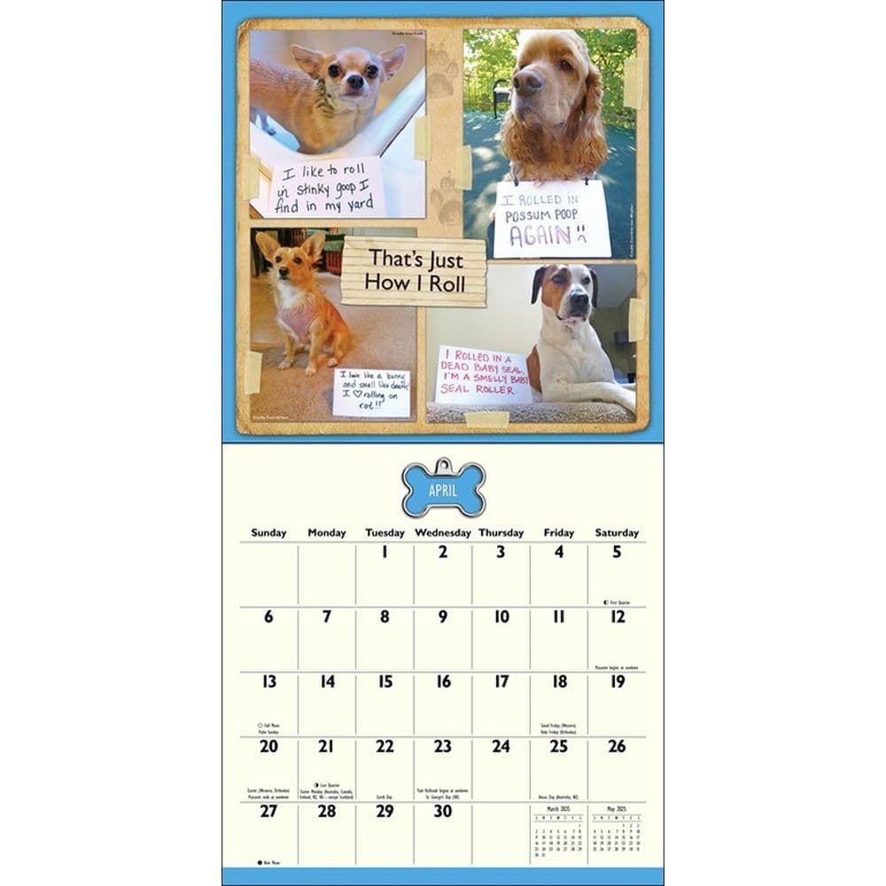 Dog Shaming 2025 Wall Calendar