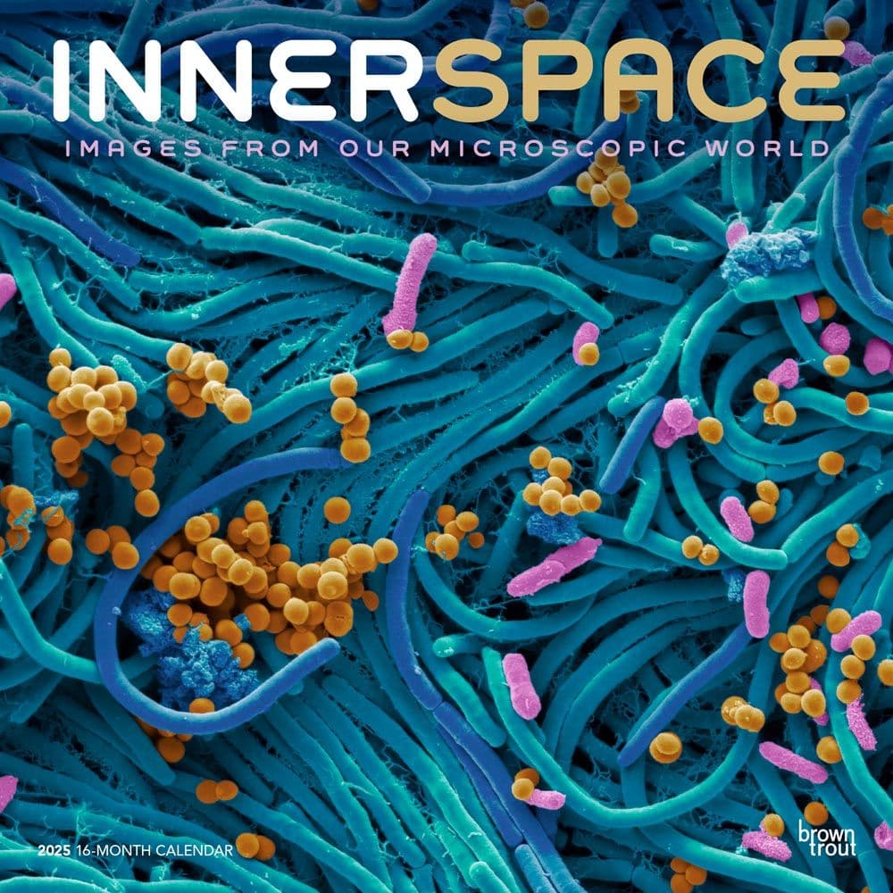 Innerspace 2025 Wall Calendar Main Image