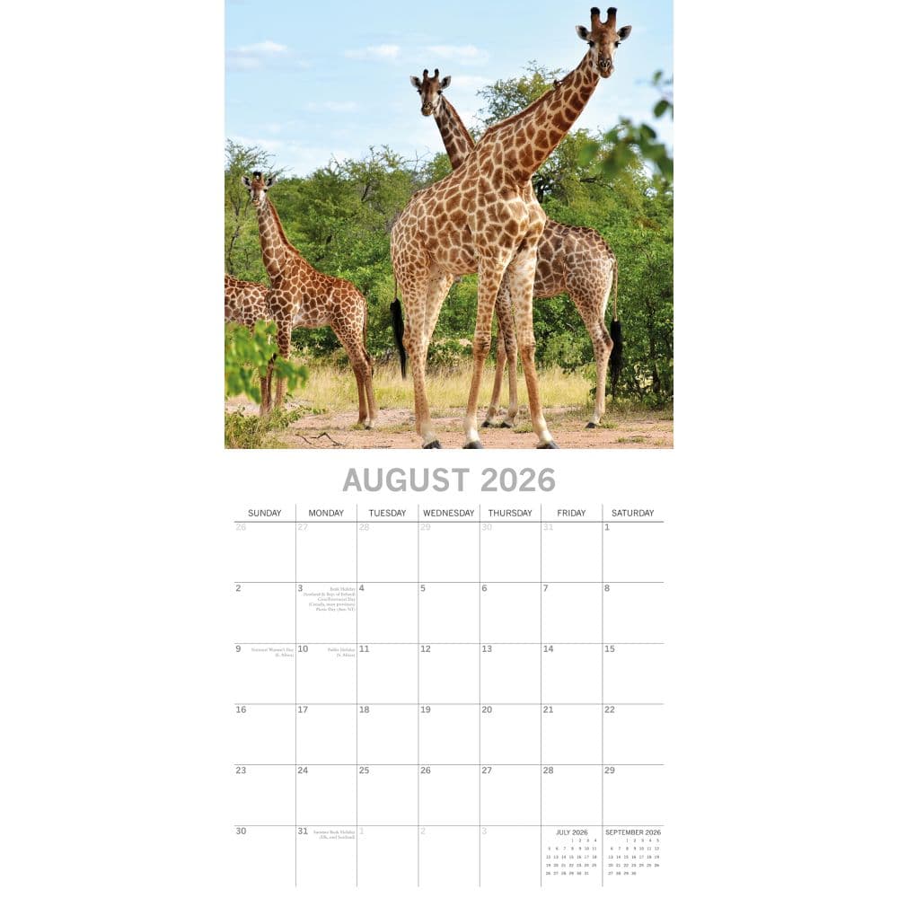 Safari 2026 Wall Calendar Third Alternate Image