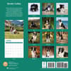 image Border Collies 2025 Wall Calendar First Alternate Image