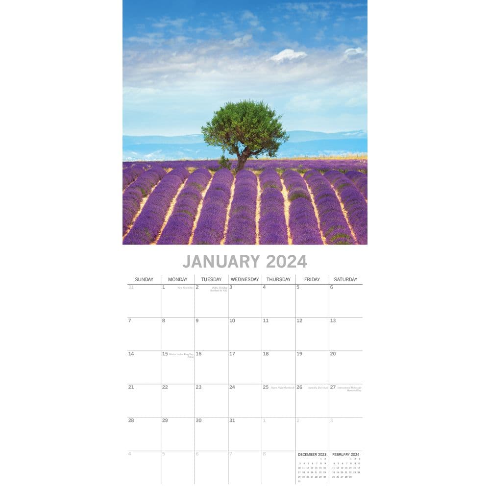 Lavender 2024 Wall Calendar January