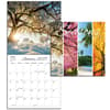 image Seasons Photo 2025 Mini Wall Calendar