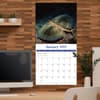image Sea Creatures 2027 Wall Calendar