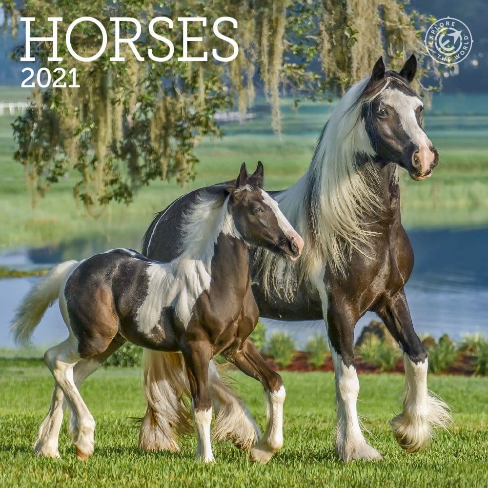 32 Best 2021 Horse Calendars - Calendar Buy