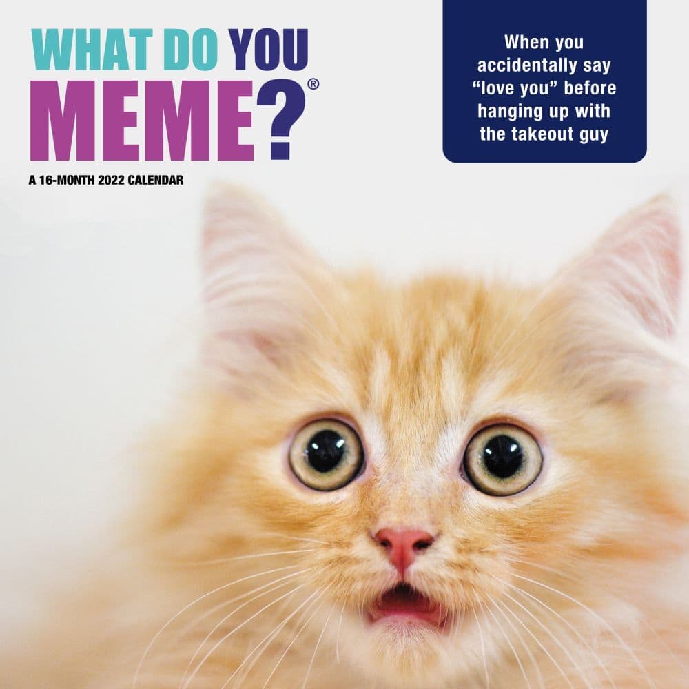 What Do You Meme 2022 Wall Calendar