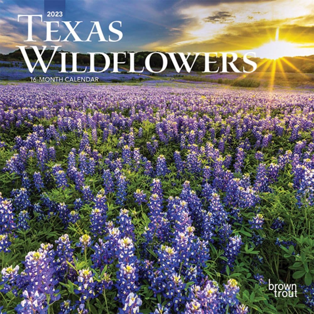 Texas Wildflowers 2023 Mini Wall Calendar - Calendars.com