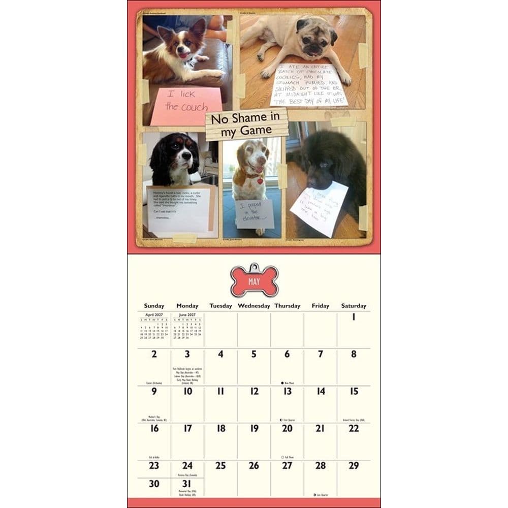 Dog Shaming 2027 Wall Calendar Sixth Alternate Image