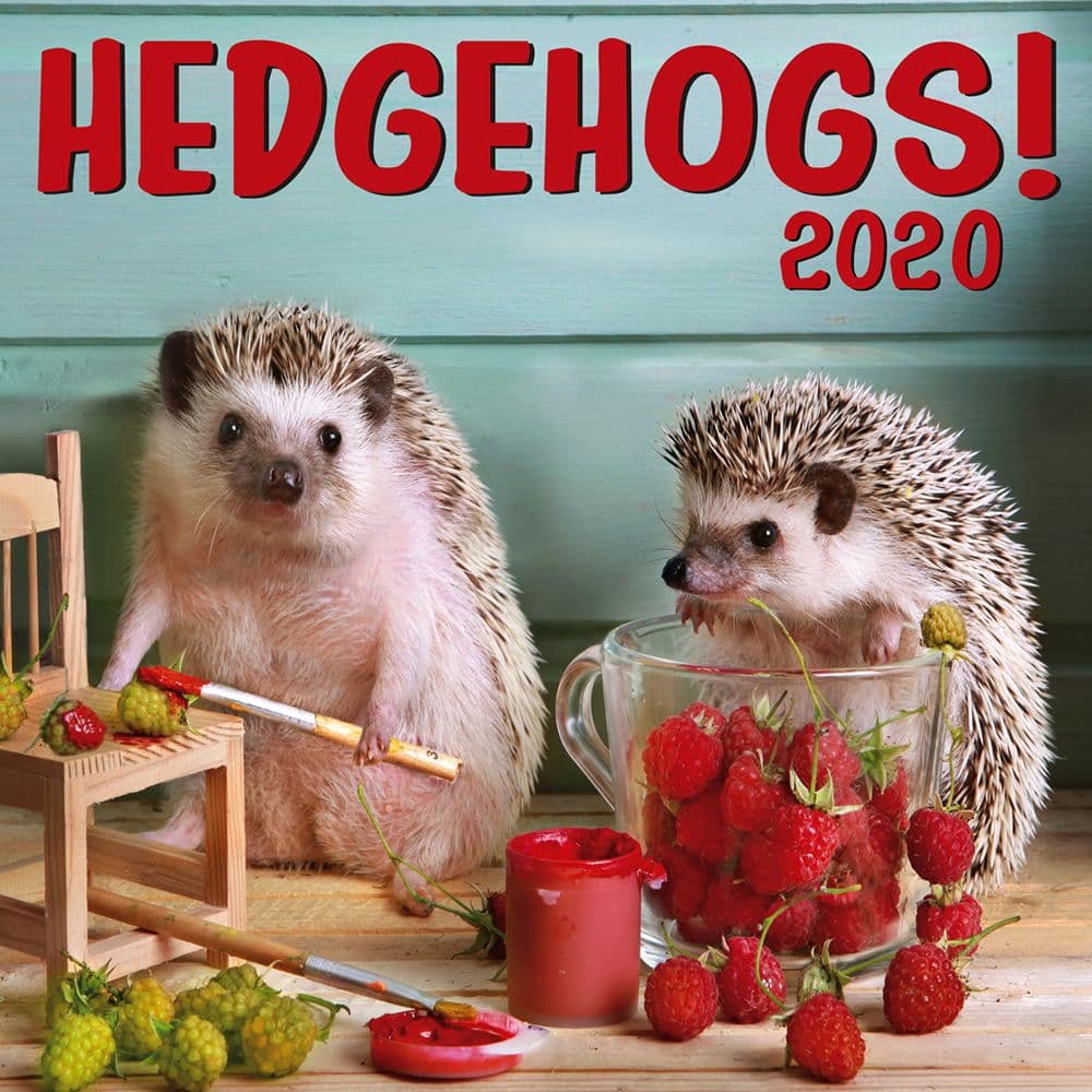 Hedgehogs Wall Calendar