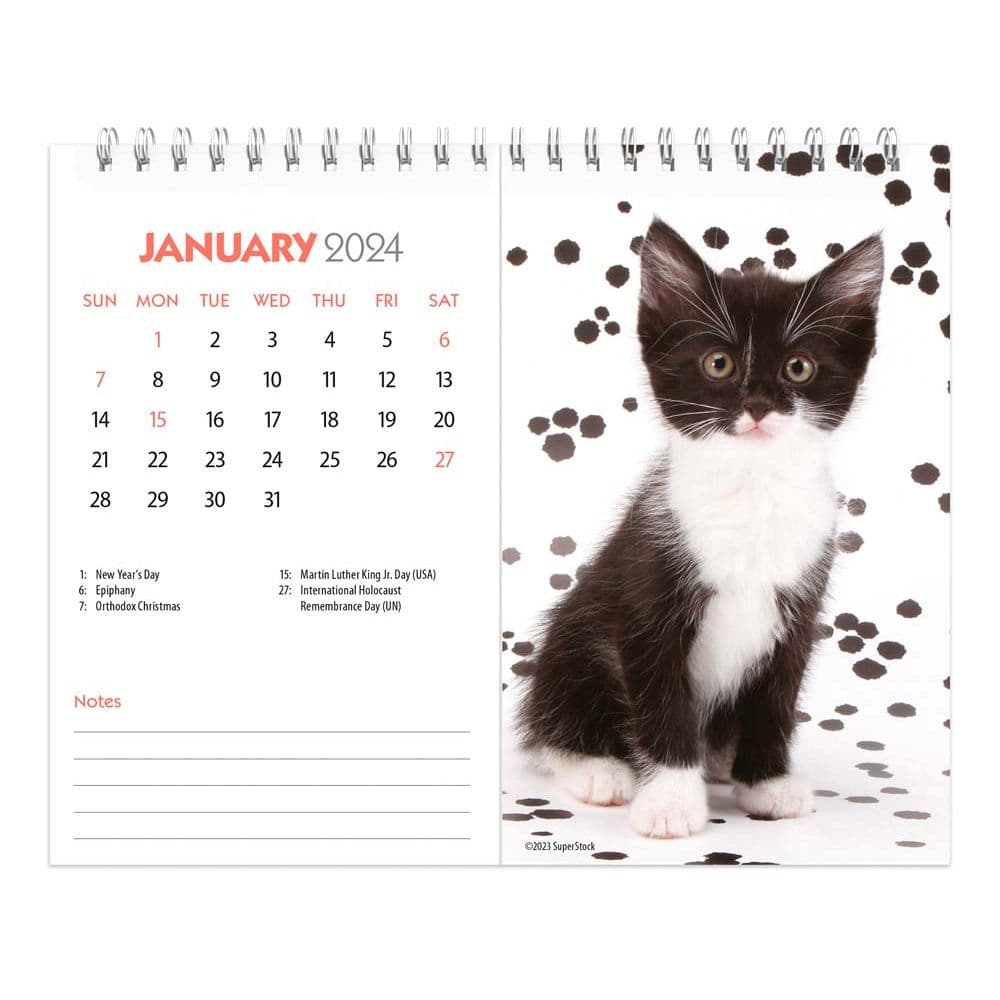 Kittens 2024 Easel Desk Calendar - Calendars.com