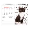 image Kittens 2024 Easel Desk Calendar Second Alternate  Image width=&quot;1000&quot; height=&quot;1000&quot;